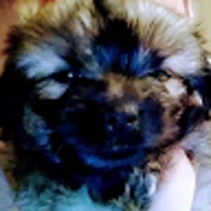 Meet your Posher, Delmaries